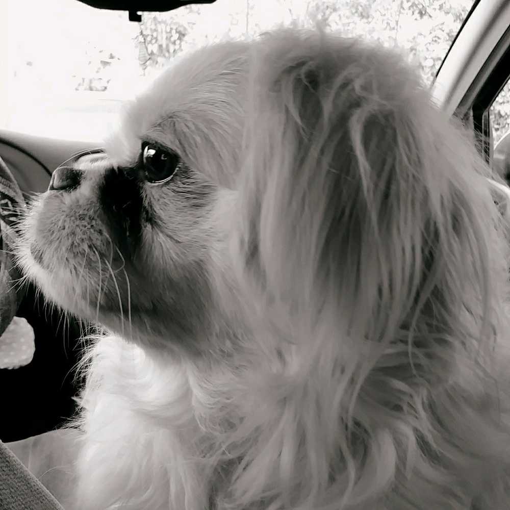 Meet your Posher, Kari